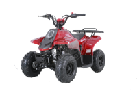 Квадроцикл Tao Motor 110 Rock Red