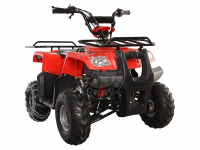 квадроцикл Avantis Hunter Junior 4т (110 кубов) (красный)