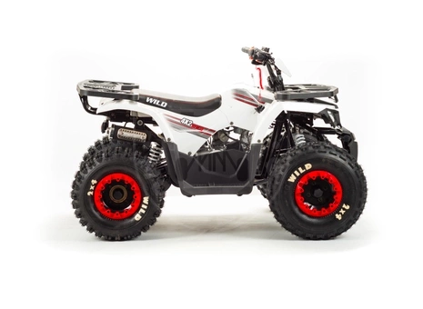 Bison Квадроцикл Bison ATV 125 Wild