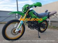 Мотоцикл Roliz Sport 005 Disk green 172FMM ПТС