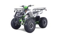 Квадроцикл Tao T-FORCE PLATINUM Green