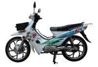 Мопед Champ CP110-A синий в Магазине Мопедофф +78129814555.