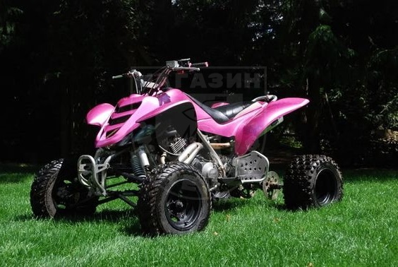 BASHAN Bashan ATV 125 PINK