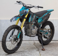 Мотоцикл кроссовый Hasky F6 250CB 21/18