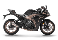 Мотоцикл VINTO GP250