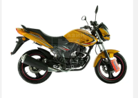 DAYUN dy300 YELLOW