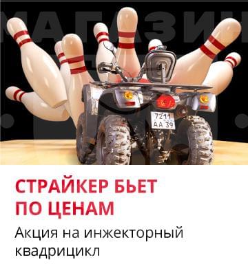 Квадрицилы Striker Квадроцикл Baltmotors Striker 200 EFI инжектор