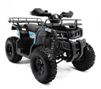 Квадроцикл MOTOLAND ATV 300 MAX X синий купить в Мопедофф 88005508293 - звонок бесплатный.