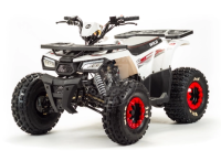 Квадроцикл Bison ATV 125 Wild в интернет - магазине МОПЕДОФФ.