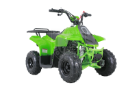 Квадроцикл Tao Motor 110 Rock Green