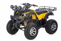 Квадроцикл RAPTOR MAX PRO 250 (жёлтый) в интернет - магазине МОПЕДОФФ.