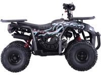 Квадроцикл BSE XT-1U Black 125
