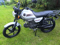 Мопед COLT 110(50)CC