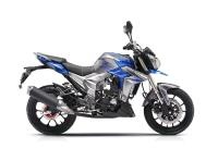 Мотоцикл REGULMOTO T-Leopard 300 синий