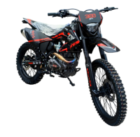 Эндуро мотоцикл GTO Short Pro 250