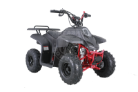 Квадроцикл Tao Motor 110 Rock Blak matte