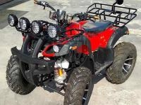 Квадроцикл RAPTOR MAX PRO 250 red в интернет - магазине МОПЕДОФФ.