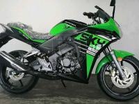 Мотоцикл RACER RC300CS Skyway green