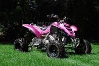 Bashan ATV 125 PINK