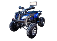 Квадроцикл GRIZZLY 250 синий в интернет - магазине МОПЕДОФФ.