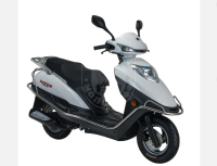 Dayun DY110CC vwhite