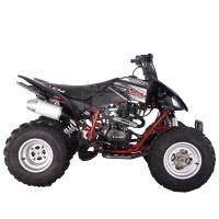 Квадроцикл Mikilon Pentora 250 Sport