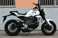 RZM200E white