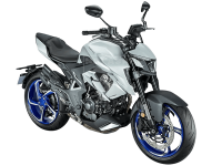 ZONTES ZT 350-R1