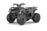 Комплект запчастей ATV YACOTA DRAGON 125 серый
