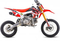 THUMPSTAR - TSB 125E-C orange