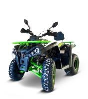 Квадроцикл GLADIATOR F200 Lux зеленый в интернет - магазине МОПЕДОФФ.