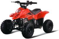 Квадроцикл Bison Super Mini Electro red в интернет - магазине МОПЕДОФФ.