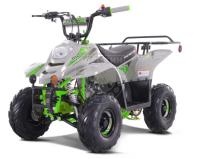 Квадроцикл Tao Motor 110 New Boulder Kids Green