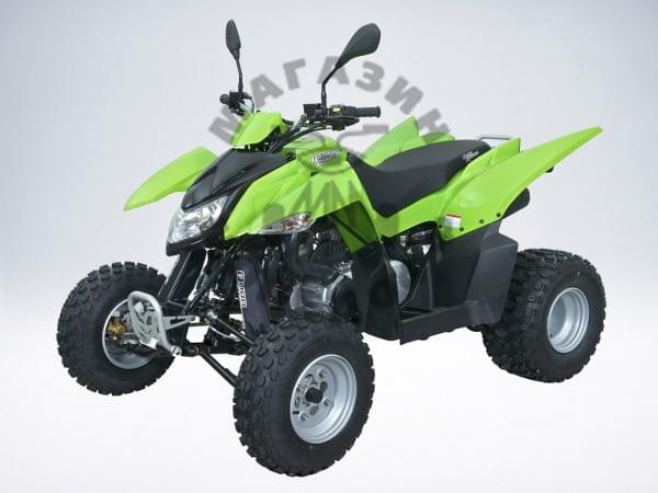 Квадроцикл QuadRaider 300 SS (green) (Квадроцикл QuadRaider 300 белый зависимая подвеска) в интернет - магазине МОПЕДОФФ.
