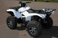 Квадрицикл Loncin Xwolf 125 white