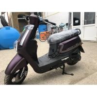 Modena 49,9 - 100 см3