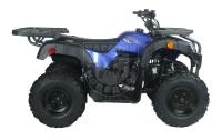 Квадроцикл Apollo PENTORA 150 UT AUTO W / R синий
