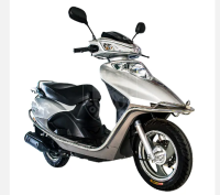 Dayun DY110CC silver