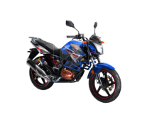 DAYUN dy300 BLUE