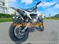 Питбайк SSR CORE 125e A 17/14 Cat Mask автомат 