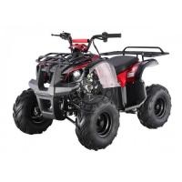Квадроцикл TAO D125 (ATA125D) красный паук