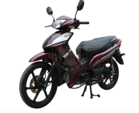 Мопед Champ CP110-10 темный красный в Магазине Мопедофф +78129814555.