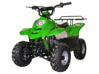 квадроцикл Avantis Termit Junior 110сс 4т (110 кубов) (зелёный)