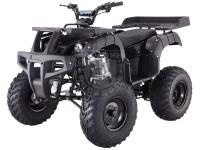 Квадроцикл TAO RHINO 250 чёрный