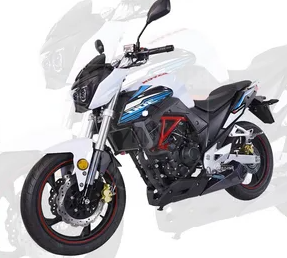 Dayun Мотоцикл DAYUN dy300 WHITE
