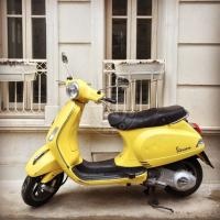 Mash 150-50 yellow