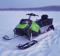 Снегоход Stels S200 Bjorn ST 2.0 green