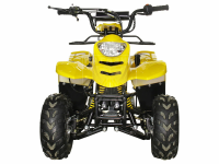 квадроцикл Avantis Termit Junior 110сс 4т (110 кубов) (жёлтый)