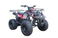 Квадроцикл TAO T125(TFORCE) красный