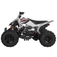 Квадроцикл Mikilon Pentora 125L